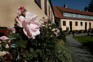Aed väljaspool majutusasutust Hotel Kongensbro Kro