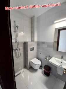 a bathroom with a toilet and a sink at Pensiunea Stefania in Lacu Rosu