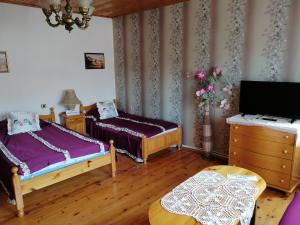 a bedroom with two beds and a television in it at Elida Guest House in Shabla