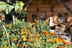 Κήπος έξω από το Mühlenhäuschen +5 φωτογραφίες