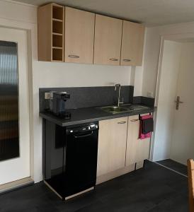 een kleine keuken met een wastafel en een fornuis bij Ferienwohnung an der Dill in Dillenburg