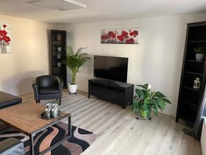 a living room with a flat screen tv and a table at Ferienwohnung an der Dill in Dillenburg