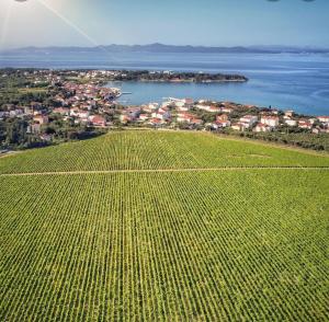 Fotografie z fotogalerie ubytování Apartman Punta Radman v destinaci Petrcane