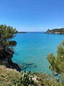 Imagen de la galería de b&b Luisa, en Marina di Camerota