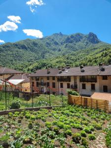 a view of a farm with mountains in the background at Trattoria Albergo all'Alpino in Posina