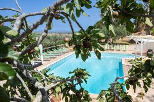 Bazén v ubytovaní Villa Sunrise Palm alebo v jeho blízkosti
