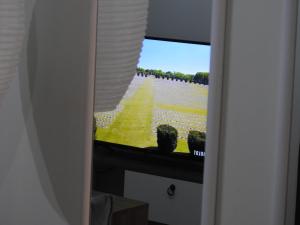 Televízia a/alebo spoločenská miestnosť v ubytovaní F.K Room 2