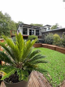 Pluherlin的住宿－Magnifique villa avec jacuzzi，木甲板上一个锅子里的棕榈树