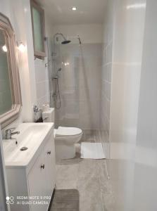 a bathroom with a sink and a toilet and a shower at Chambre accueillante à 2 mn du centre ville in Perpignan