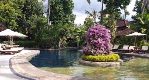 a pool with flowers in the middle of a resort at Rambutan Hotel in Lovina