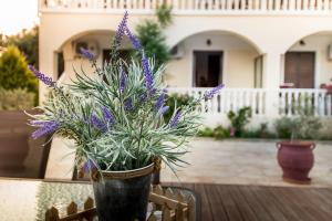 Fotografie z fotogalerie ubytování Leonidas Studios v destinaci Laganas