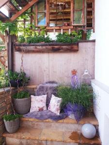 A garden outside Appartement Murmele