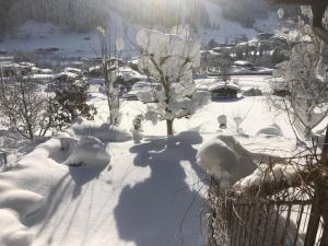 Appartement Murmele during the winter