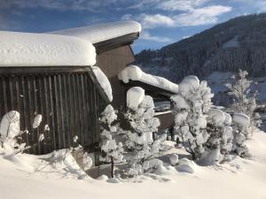 Appartement Murmele during the winter