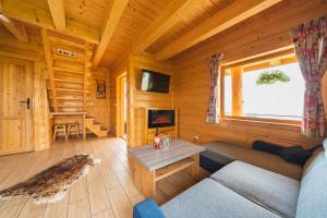 Televízia a/alebo spoločenská miestnosť v ubytovaní Domki Gorce Klikuszowa Sauna Jacuzzi