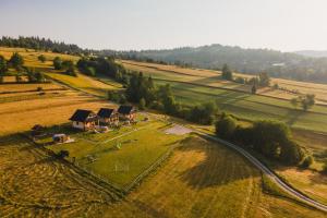 Príroda v okolí horskej chaty