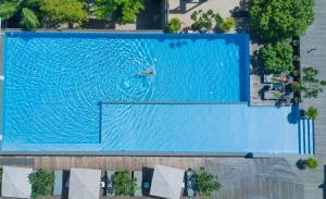 an overhead view of a large blue swimming pool at Somadevi Residence in Siem Reap