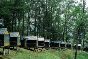 En have udenfor Bobocabin Coban Rondo, Malang
