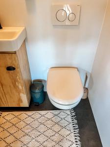a bathroom with a toilet and a sink at Elysian Fields - The Island Tiny House in Sadu