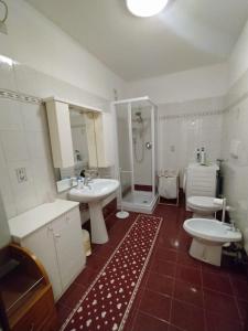 bagno con 2 lavandini, doccia e servizi igienici di Appartamento Dellantonio a Predazzo