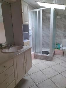 ein Bad mit einem Waschbecken und einer Dusche in der Unterkunft Apartament rural 2/4 PAX Vallespir in Maureillas