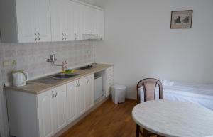 Köök või kööginurk majutusasutuses EA Apartmány Mozart