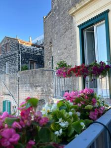 Zahrada ubytování Palazzo Zagarella HOWME