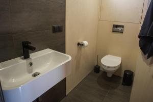 a bathroom with a sink and a toilet at Goba Sauleskempings in Mērsrags