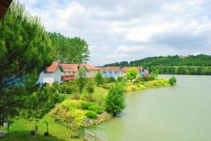 Fotografia z galérie ubytovania Charmante Maisonette au bord du lac avec piscine v destinácii Marciac