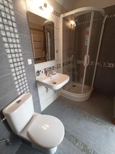 a bathroom with a toilet and a sink and a shower at Dom Gościnny Przy Jeziorze in Gardna Wielka