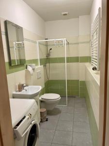 a bathroom with a toilet and a sink and a shower at Guesthouse Piller in Chvalín