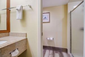 Koupelna v ubytování Quality Inn Baytown - Houston East