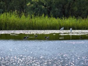 Foto dalla galleria di Azraq Rest House ad Al Azraq ash Shamālī