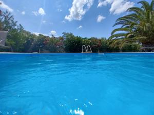 uma piscina com água azul e árvores ao fundo em PALMAR CLUB - Villa ZENOBIA em Vraná
