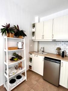 Een keuken of kitchenette bij DownTown Apartments