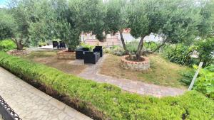 a garden with two trees and a brick path at Apartments Dora in Banjol