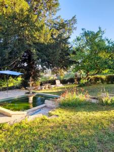 a swimming pool with a fountain in a garden at Manoir Demouret Sarlat in Sarlat-la-Canéda