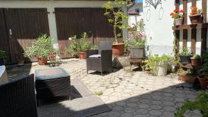 A garden outside Bristol Apartments