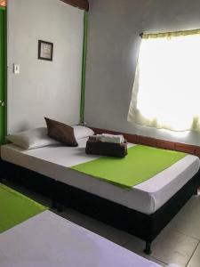 a bed in a room with a green and white at Room in Guest room - Room with 2 double beds - Number 14 in Rizaralda