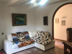 a living room with a couch and a cat blanket at Casa di NELLA in Campiglia Marittima
