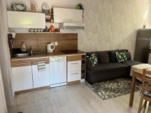 Kuchyňa alebo kuchynka v ubytovaní Apartmán Laza + 11 fotografií