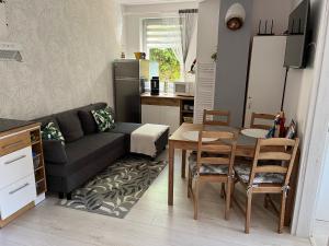 Kuchyňa alebo kuchynka v ubytovaní Apartmán Laza