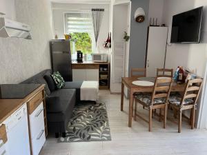 Kuchyňa alebo kuchynka v ubytovaní Apartmán Laza
