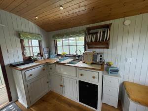 Kuhinja oz. manjša kuhinja v nastanitvi Puddle Duck Shepherd Hut