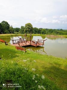 un grupo de mesas de picnic en un lago en Agroturystyka Ziemowit Karkonosze, en Lubawka