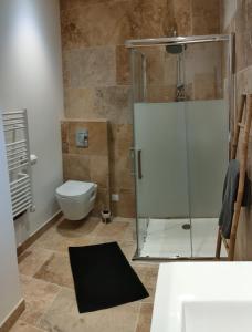 a bathroom with a toilet and a glass shower at Appartement dans Mas Provencal in Arles