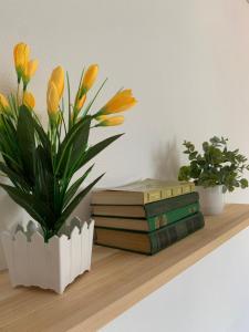 two books and a potted plant on a shelf at Митяевский Mityaevskyi Guest House in Kolomna