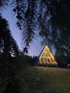 una casa di vetro con luci in un campo di Moldav-A Frame a Câmpulung Moldovenesc