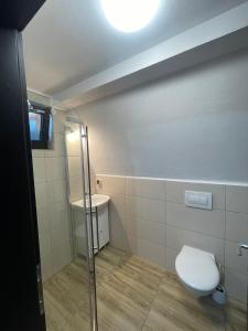 a bathroom with a toilet and a sink at Moldav-A Frame in Câmpulung Moldovenesc