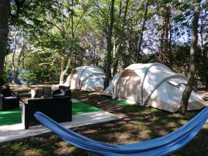 Gallery image of La Finca - Campamento en la Naturaleza in Carranceja